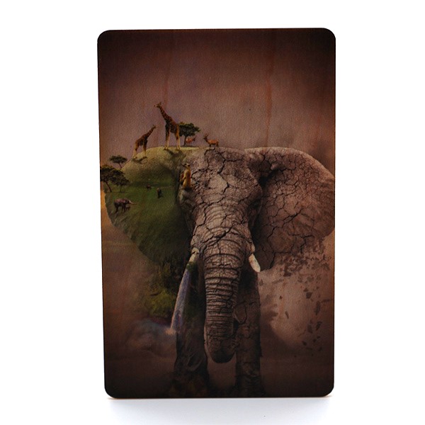 rfid-tag-manufacturer-over-20-year-made-in-china